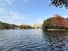 -荔湾湖公园
