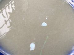 -隆福寺小吃店(东四店)