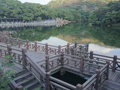 -白马涧龙池景区