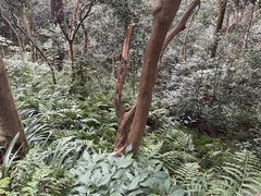 -生态园山庄(森林公园店)
