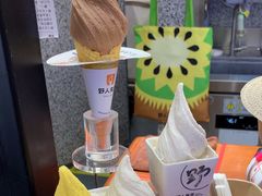 -野人先生Gelato(上海长宁龙之梦店)