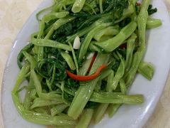 -蚝专家