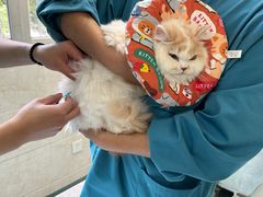 -动物缘宠物医院·骨科·猫科(西二环店)