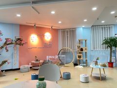 -喵宠乐园·撸猫互动·猫舍