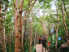 -白草畔自然风景区