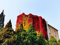 -辽宁大学(崇山校区)