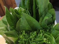 菠菜-草原塞蛮羊火锅城(港湾店)