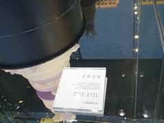 -BLACKSWAN黑天鹅(环球店)