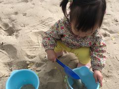 -早期教育指导中心