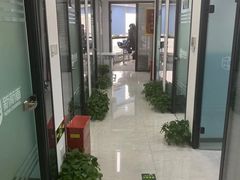 -新航道雅思托福·留学·考研培训(人民广场校区)