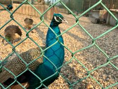 -南京金牛湖风景区