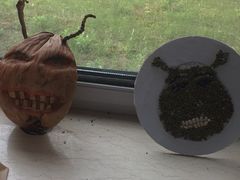 -苏州外国语学校