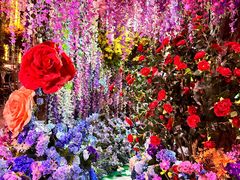 -正佳雨林生态植物园