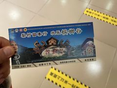 -海南槟榔谷黎苗文化旅游区