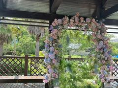 -浦鸿会游泳健身中心·Ambassy Club PD(金桥碧云国际社区店)