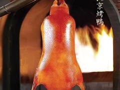 -青年公社烤鸭(滨湖银泰店)