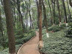 -忠山公园