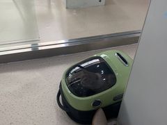 -萌兽医馆·宠物医院·猫骨科(创景店)