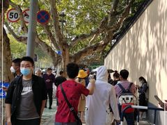 -南京中国近代史遗址博物馆(南京总统府)