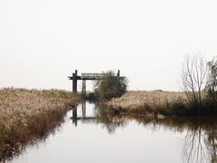 -哈素海