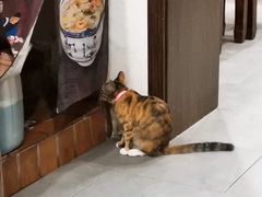 -长人馄饨铺(解放街店)