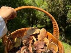 -奇迹健身(SM广场店)