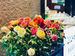 -湖畔居茶楼(湖滨店)