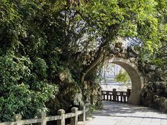 -江心屿景区