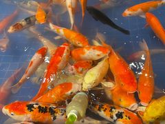 -昆明大悦城未来动物城(螺蛳湾中心店)