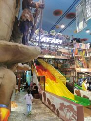 -卡通尼·Safari非洲探索乐园·生日会(金桥国际商业广场店)