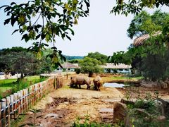 -沈阳森林动物园