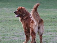 -环城公园-琥珀潭