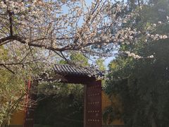 -竹林寺