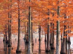 -白鹭湾湿地公园