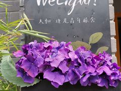 -百花深处胡同