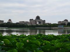 -莲花池公园