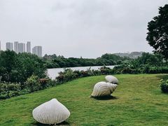 -大亚湾红树林城市湿地公园