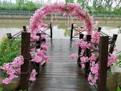 -上海长兴岛郊野公园