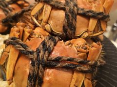 熟酔六月黄-新发展亚太JW万豪酒店·福苑咖啡厅