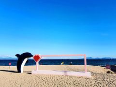 -玫瑰海岸文化旅游度假区