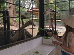 -吉隆坡雀鸟公园