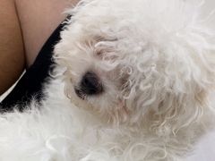 -美联众合动物医院·24h京西诊疗中心