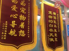 -全心全意连锁动物医院·微创中心·内科急重症·心脏专科(丰管路店)
