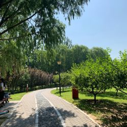 -大望京儿童游乐场