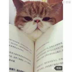 -和良形象