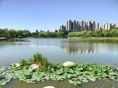 -燕郊植物园