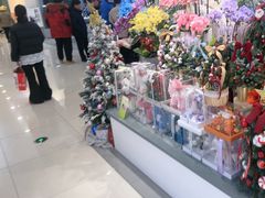 -巴黎春天(浦建店)