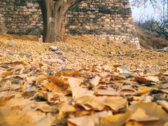 -遵化市禅林寺古银杏风景园