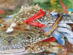 -胜海大排档·海鲜·黄鳝饭(十年老店)