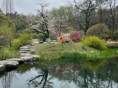 -杭州植物园